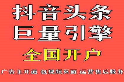 百度竞价托管外包案例：打造行业领军品牌